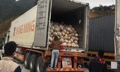 Điều tiết, tránh ùn tắc nông sản ở cửa khẩu