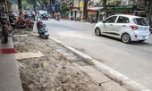 Hoàn chỉnh hồ sơ thiết kế đến từng hố trồng cây