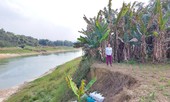 Quằn quại một dòng Lô: Có hay không bảo kê?