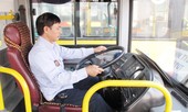 Hàng nghìn lái, phụ xe buýt bị giảm 50% thu nhập