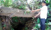 Nguyễn Hồng Công và 3 lần 'chạm cửa kho báu' vua Hàm Nghi