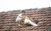 Dân đang cần gì khẩn cấp?