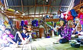 Về nơi loài người bắt đầu đứng thẳng