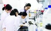 Vượt qua những biên giới sáng tạo