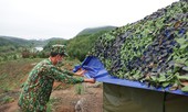 Có các anh canh phên dậu, Kỳ II: Dãi gió, dầm mưa chặn dịch