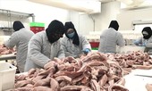 Thêm nguồn thịt lợn nhập khẩu: Vì sao giá vẫn cao?