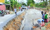 Sụt lún trên diện rộng ở Cà Mau