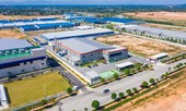 Trải thảm đón sóng đầu tư: Không làm theo phong trào!