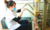 Nước mắm của loại hải sản đắt như vàng ròng