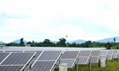 Dự án điện mặt trời lấn 247,7 ha rừng tự nhiên: Chủ doanh nghiệp “đòi” tỉnh khen