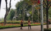 Hà Nội: Lèo tèo hoa, cây cảnh trang trí Tết