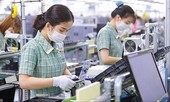 Gói kích thích kinh tế lần 2: Nhìn gói 1 để toan tính gói 2