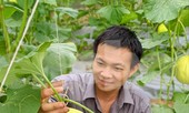 Cử nhân phát triển trang trại rau sạch