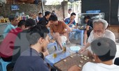 Người Hà Nội vẫn 'bám trụ' trà đá vỉa hè, không đeo khẩu trang