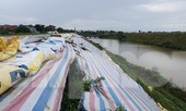 Cận cảnh đường đê còn bảo hành đã sụt trượt nghiêm trọng ở Phú Thọ