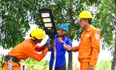 Tình nguyện hè với vùng biển bãi ngang Triệu Vân
