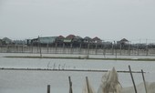 Kỷ luật Phó Chủ tịch huyện giúp bố chuyển đất nuôi tôm thành đất ở