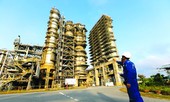 Năm 2019 – hàng loạt thành công bước ngoặt mới với BSR