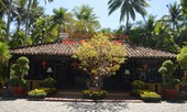 Tết 2020 – Tết Sum Vầy cùng Seahorse Resort & Spa