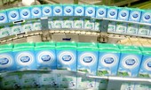 Cô gái Hà Lan tiên phong mang sữa yêu thương, chung tay chia sẻ với người tiêu dùng
