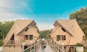 Trà Sư - những ngày vào Hạ