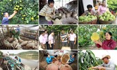 Tiếp ngọn lửa thi đua, thổi bùng sức mạnh tín dụng chính sách xã hội
