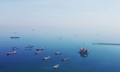 DQS đã vượt 'bão' Covid-19 thế nào?