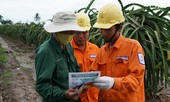Báo động tai nạn về điện ở Đồng bằng sông Cửu Long