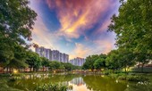 ‘Qua lăng kính 2020: nét đẹp Celadon City’ công bố các tác phẩm đạt giải
