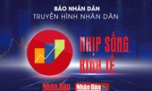 Ấn tượng với nhịp sống kinh tế