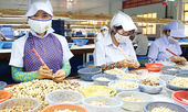 Bài 1: Trắng đêm cùng EVFTA