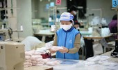 Trắng đêm cùng EVFTA – bài 2