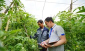 Những nông dân thời 4.0
