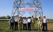Đẩy nhanh tiến độ thi công dự án đường dây 500kV Tây Hà Nội – Thường Tín