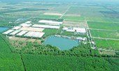 Phát triển nông nghiệp theo hướng bền vững: Nhìn từ hệ thống trang trại bò sữa Vinamilk
