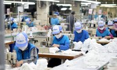 Hiệp định EVFTA mang lại nhiều cơ hội cho doanh nghiệp dệt may