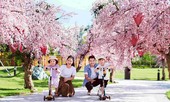 Băn khoăn chọn nhà của phụ huynh – Nỗi lòng chỉ khi có con mới hiểu