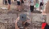 Người dân Quảng Bình nhận 'lộc trời' chưa từng thấy sau cơn bão đi qua