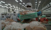 Đề nghị bổ sung ngành chế biến, kinh doanh thủy sản vào đối tượng gia hạn nộp thuế