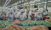Xuất khẩu cá tra tiếp tục tăng trưởng âm