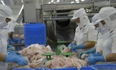 Xuất khẩu cá tra sang Anh, điểm sáng giữa 'bức tranh ảm đạm'