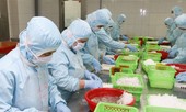 Xuất khẩu tôm sang EU tăng trưởng cao nhất kể từ đầu năm