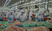 Xuất khẩu thủy sản năm 2020 dự báo đạt gần 8,6 tỷ USD
