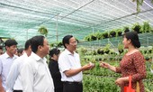 Ngọn cờ Đồng khởi đang được chuyển hóa vào tinh thần lao động