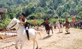Chinh phục cao nguyên trên lưng ngựa Pha-rô