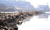 Vụ Thủy điện bỏ rơi dân trong khô hạn: Phải bồi thường cho dân