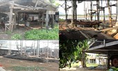 Làng đóng tàu vang bóng một thời