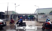 Nghi vấn Công ty Nhật hối lộ quan chức 5 tỷ đồng: Có thể khởi tố vụ án?