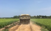 Cát tặc lộng hành: Chính quyền không biết?