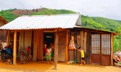 Cuộc sống trong những ốc đảo dịch bạch hầu Tây Nguyên